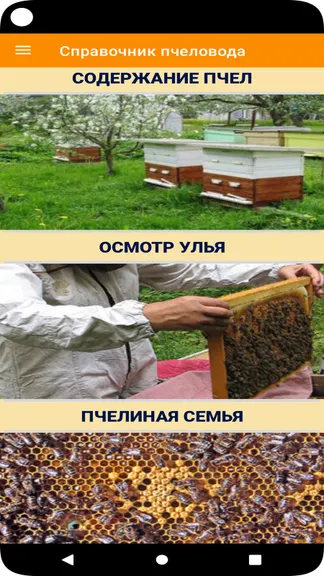 Скриншот 2/6
