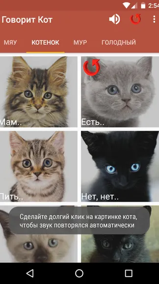 Скриншот 2/2