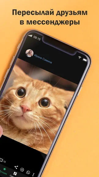 Скриншот 2/6