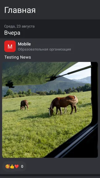 Скриншот 1/6