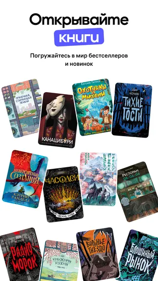 Скриншот 1/4