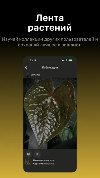 Скриншот 5/9