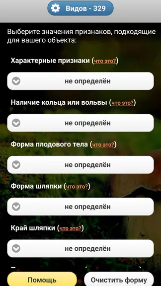 Скриншот 3/8