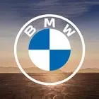 BMW Driver's Guide логотип