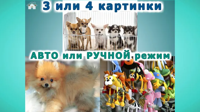 Скриншот 4/7