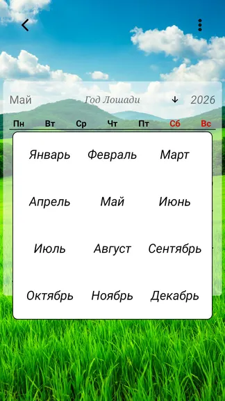 Скриншот 3/7
