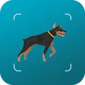 Dog breeds identifier, scanner app: Scan dogs логотип
