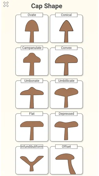Скриншот 7/7
