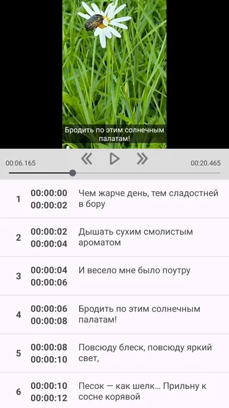 Скриншот 1/3