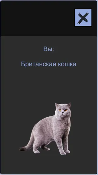 Скриншот 4/5