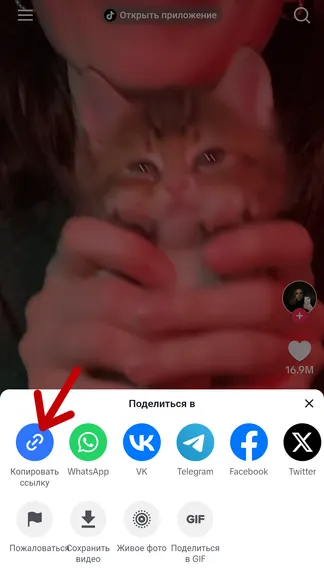 Скриншот 3/5