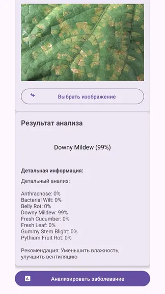 Скриншот 4/6