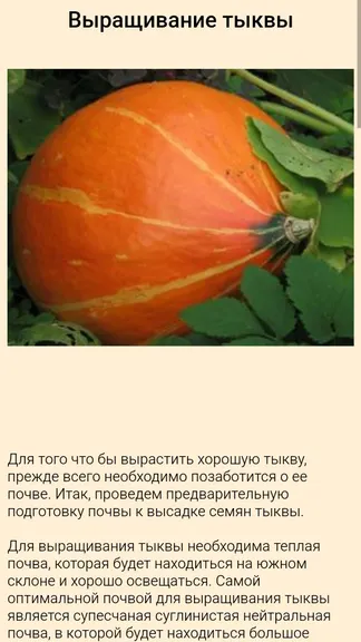 Скриншот 4/5