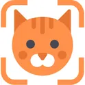 CatNetwork логотип