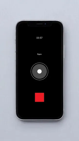 Скриншот 4/5