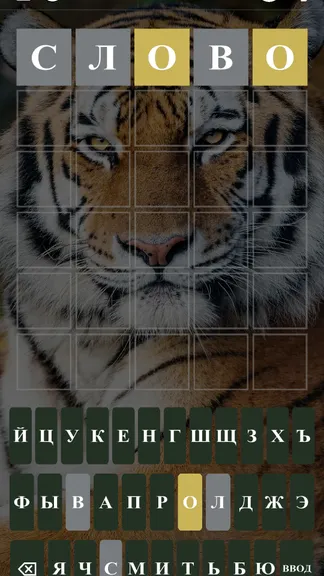 Скриншот 4/5