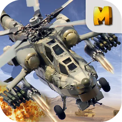  helicopter gunship 