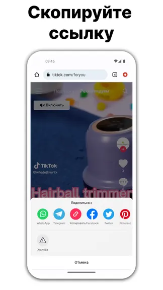 Скриншот 1/4