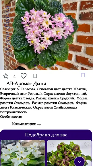 Скриншот 1/3