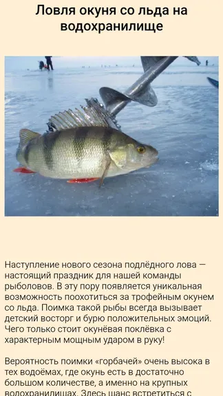 Скриншот 2/5