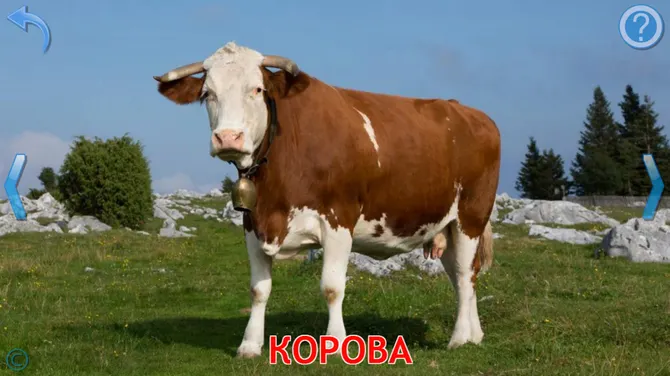 Скриншот 3/8