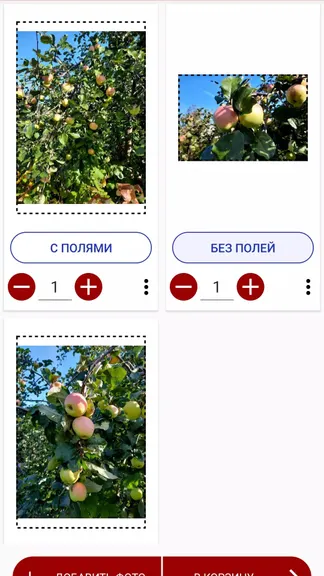 Скриншот 4/5