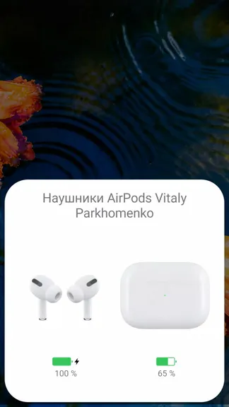 Скриншот 2/6
