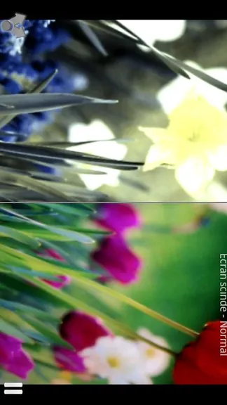 Скриншот 3/3