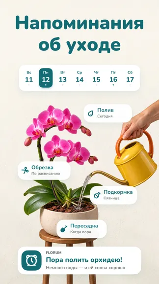 Скриншот 7/8