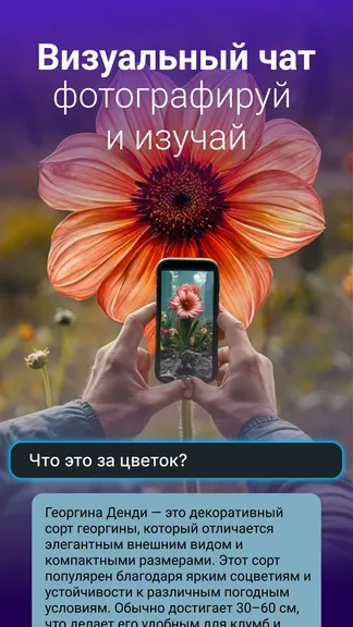 Скриншот 3/6