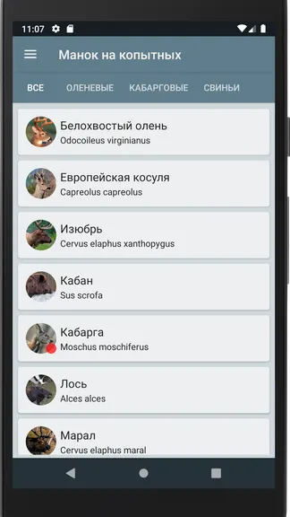 Скриншот 2/4