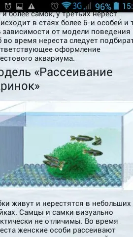 Скриншот 6/8