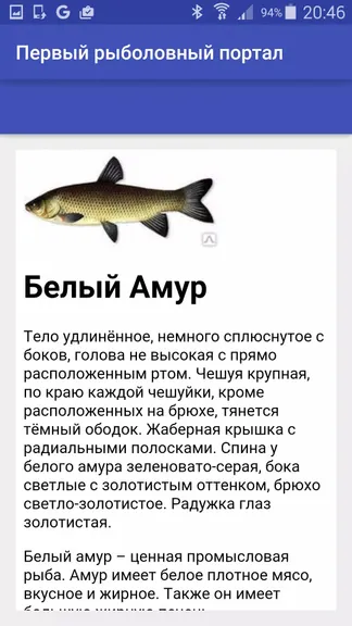 Скриншот 3/5