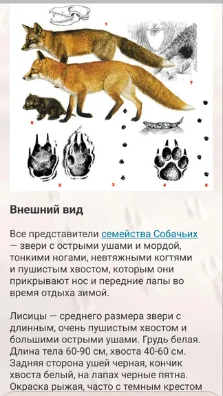 Скриншот 8/8