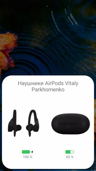 Скриншот 3/6