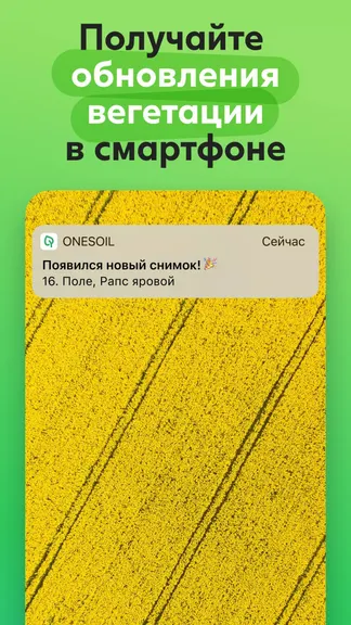 Скриншот 4/8