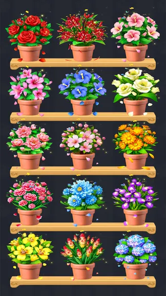 Скриншот 2/4