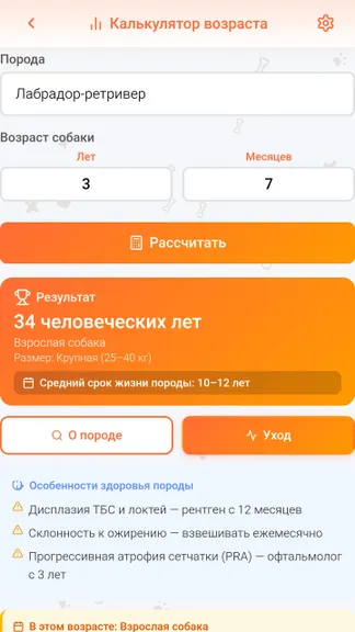 Скриншот 3/6