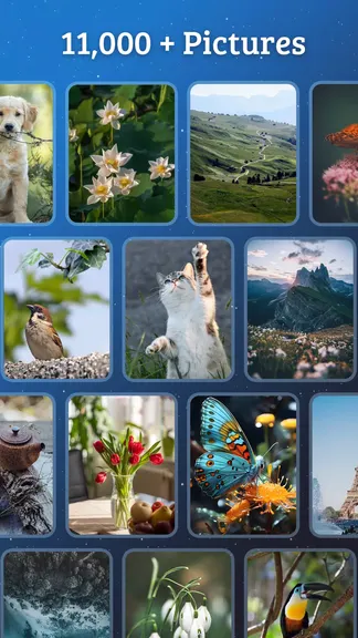 Скриншот 6/6