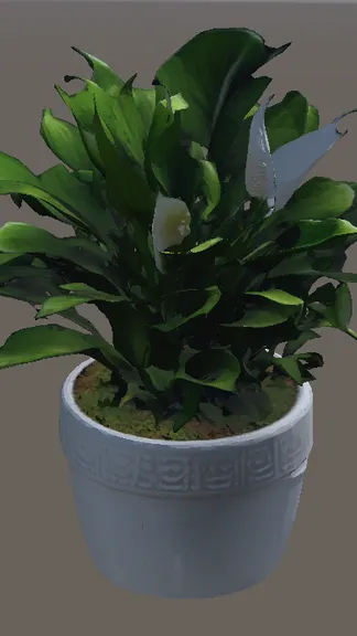 Скриншот 4/5