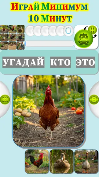 Скриншот 2/4