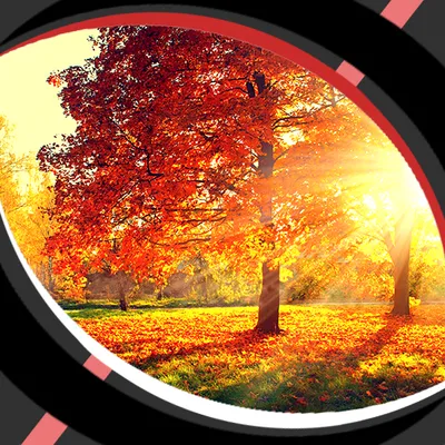 Live Wallpapers – Autumn