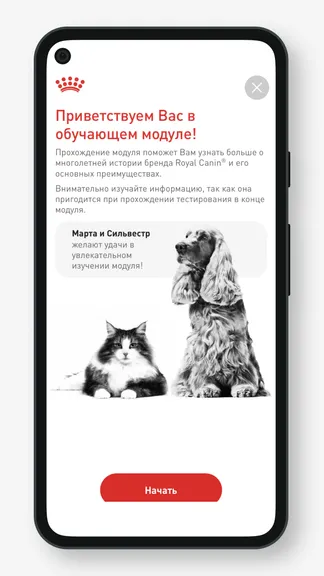 Скриншот 3/5