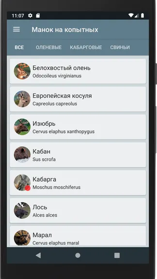 Скриншот 2/4