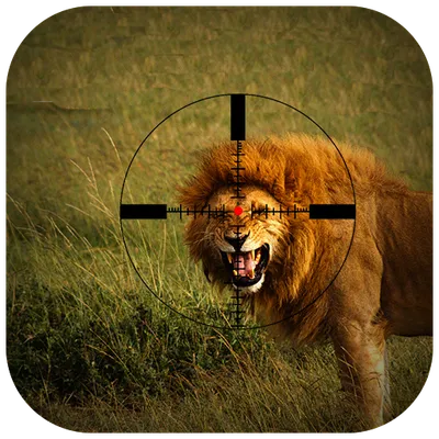 Lion Hunting in Jungle