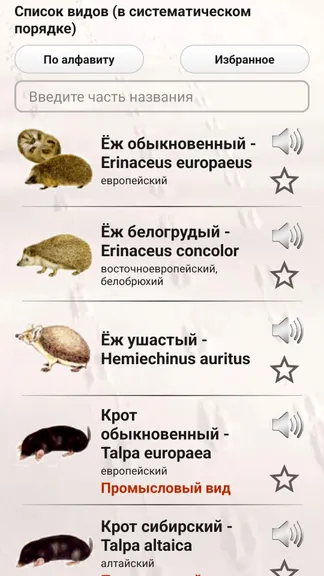 Скриншот 2/8