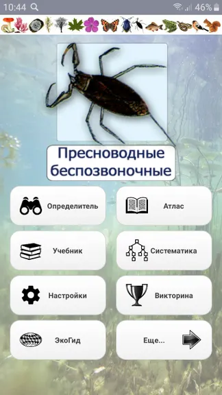 Скриншот 1/10