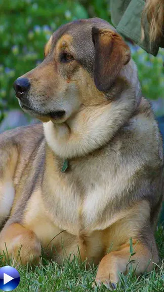 Скриншот 1/6