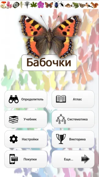 Скриншот 1/8