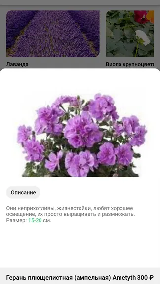 Скриншот 3/4